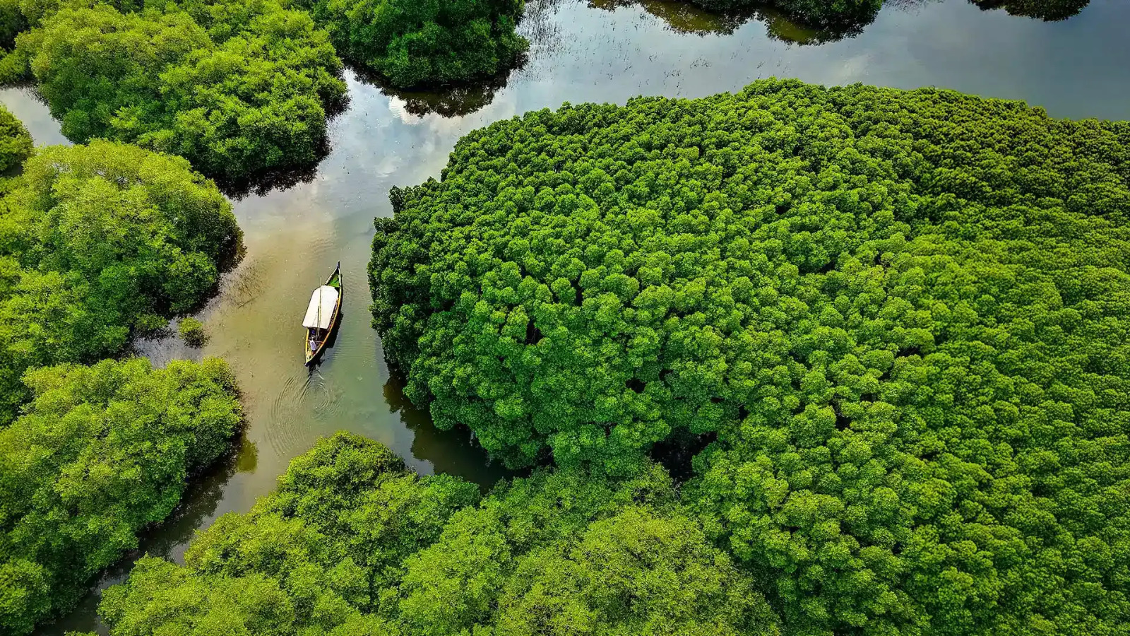 Kadalundi Bird Sanctuary Kayak Tour